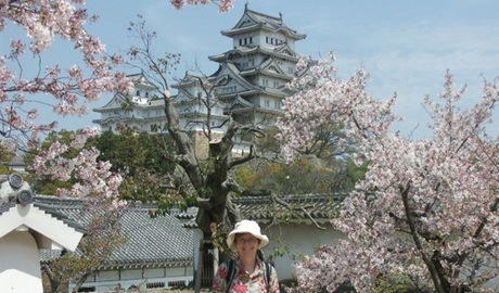 Spectacular Himeji Castle in spring